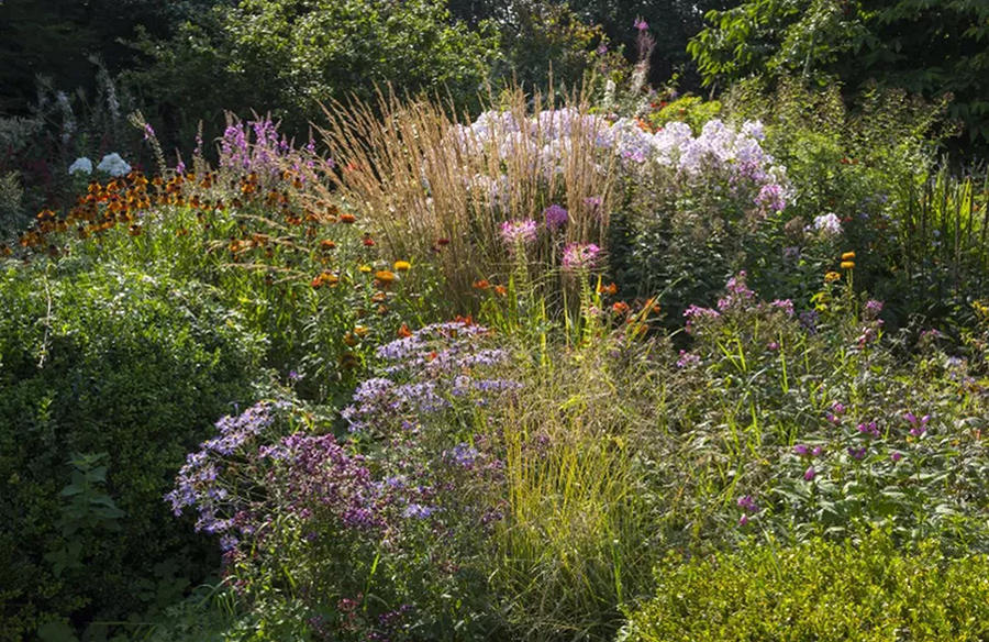 Strategies for Heat-Resilient Gardens