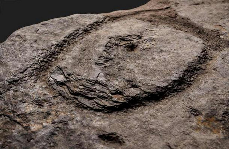 Unraveling the Mystery of the Saint-Belec Slab: Europe's Ancient Treasure Map